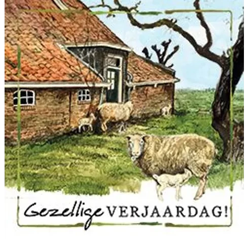 Rien Poortvliet Wenskaart – Gezellige verjaardag schapen – 13,5 x 13,5 cm