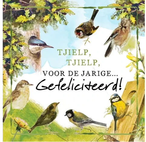 Rien Poortvliet Wenskaart – Tjielp tjielp voor de jarige – 13,5 x 13,5 cm