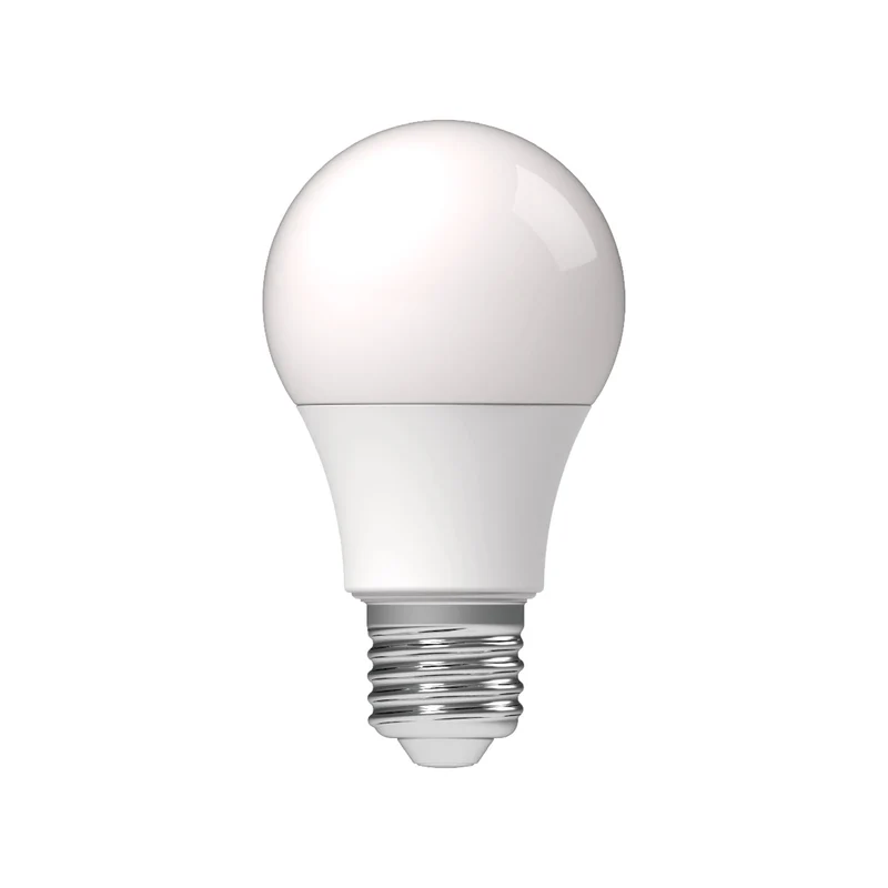 LED lamp E27 warmwit 2700K - 2.5W 250 lumen - mat glas - vervangt 25W