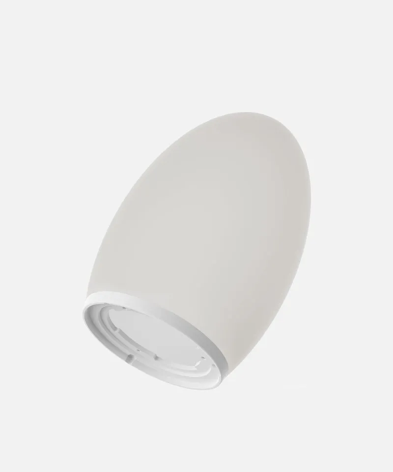 Egg Replacement Body
