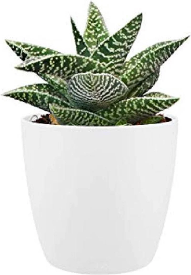 Elho brussels rond 14 - bloempot voor binnen - 100% gerecycled plastic - ø 13.5 x h 12.6 cm - wit