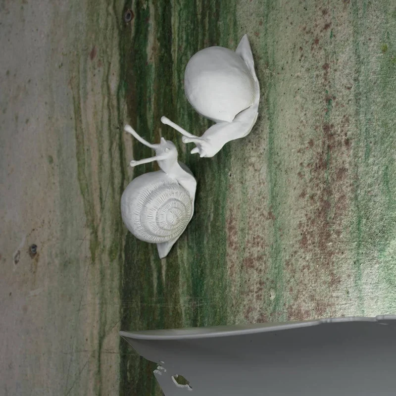 Karman Va-Lentina Schnecke