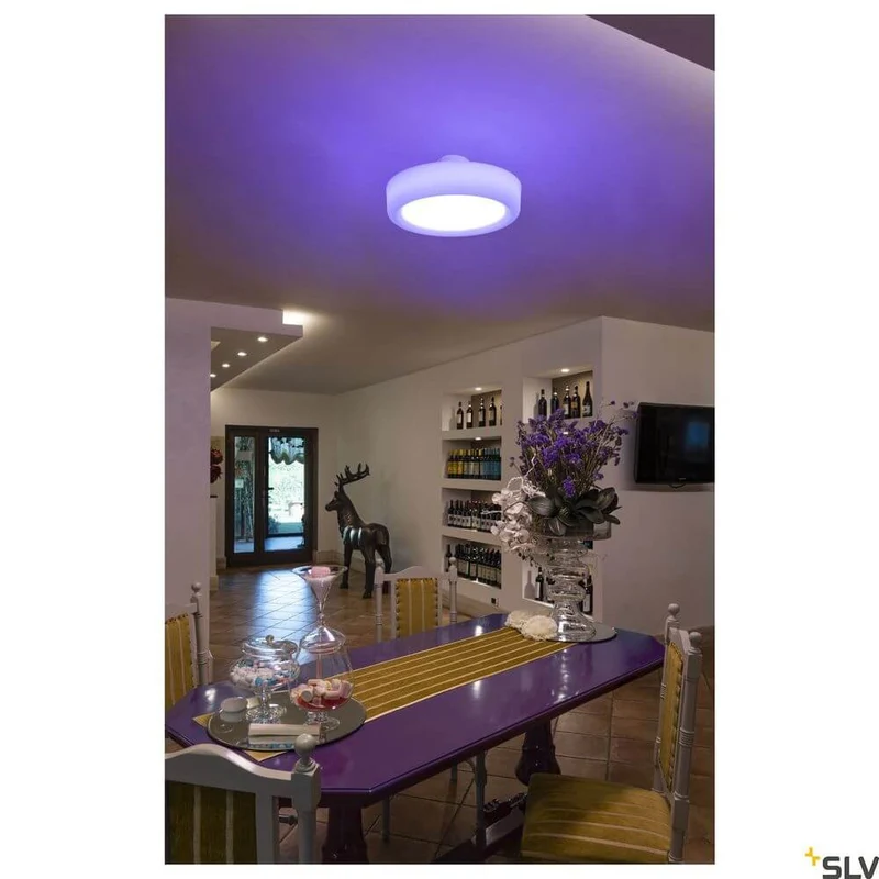 Valeto Malang Wand- & Deckenlampe RGBW 2700-6500K