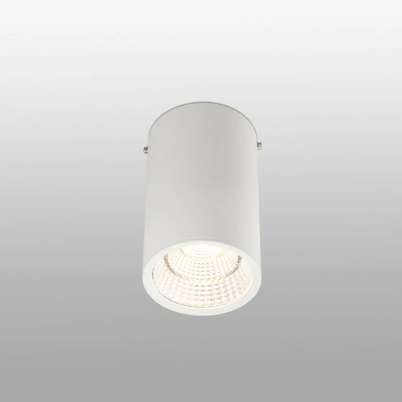 LED Deckenspot REL 25W 2700K 60° Weiß