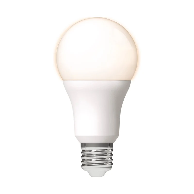 LED Lamp E27 - Mat - Warm wit - 13W vervangt 100W