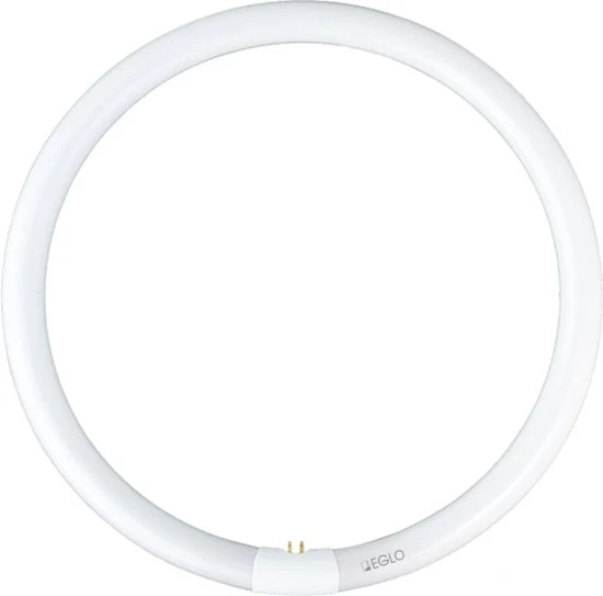 Eglo Spaarlamp G10Q 40W – Warm Wit Licht (3300 lumen)