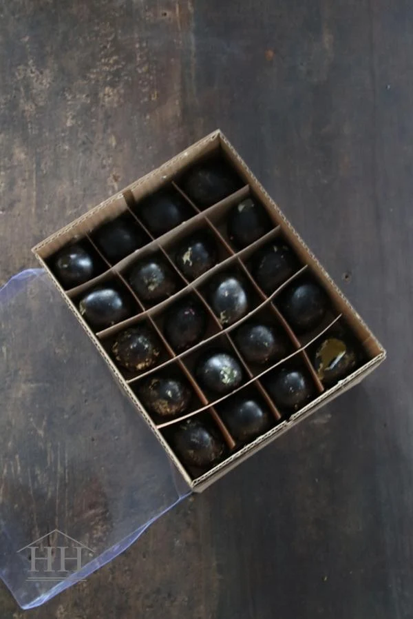 Zwarte kwarteleitjes 60 stuks