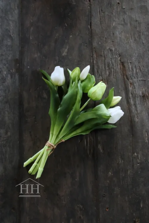 Tulpen bundel mix wit - groen 30cm