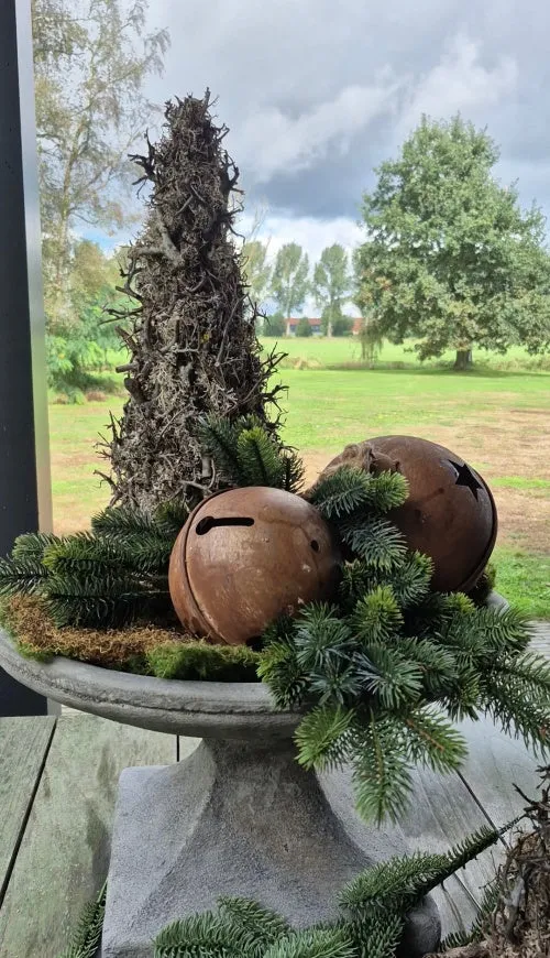 Mos bonsai boompje grijs met tillandsia - 55 cm