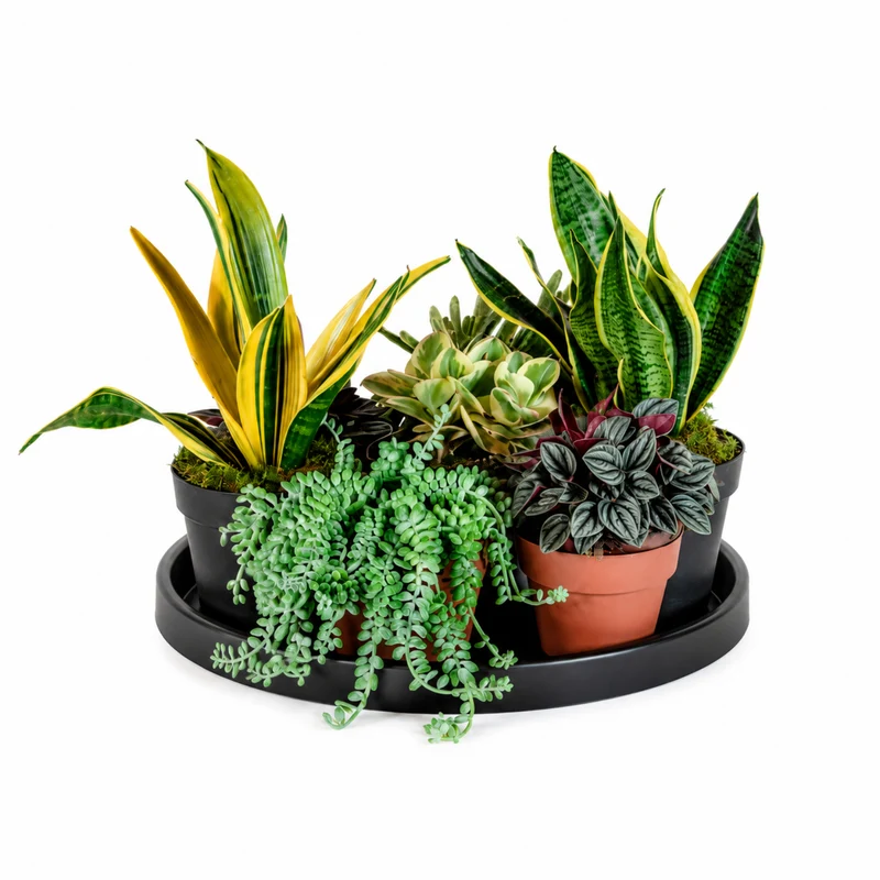 Estiluz Vegetation Kit Bols P-4028X 124028597
