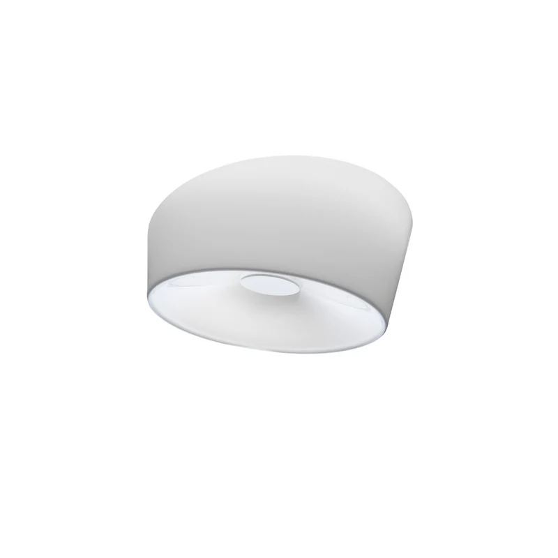 Foscarini Lumiere Wall / Ceiling Lamp