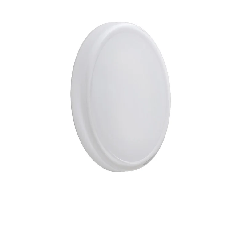 Muuto Looped Wall/Ceiling Lamp