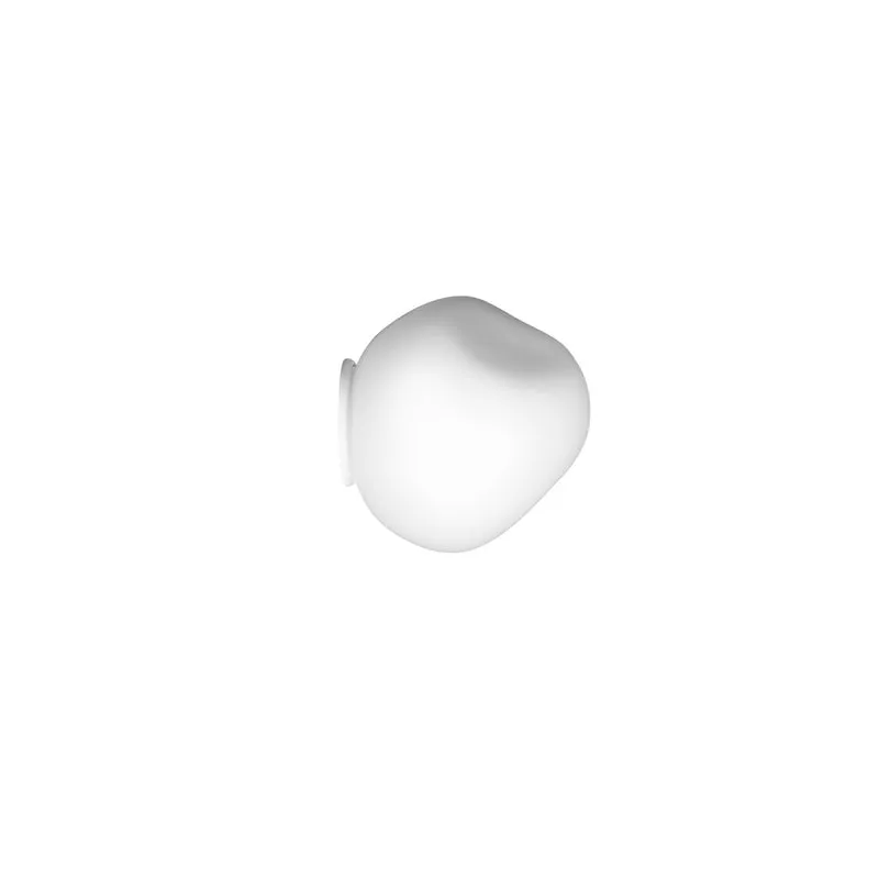 Foscarini Hoba Wall / Ceiling Lamp