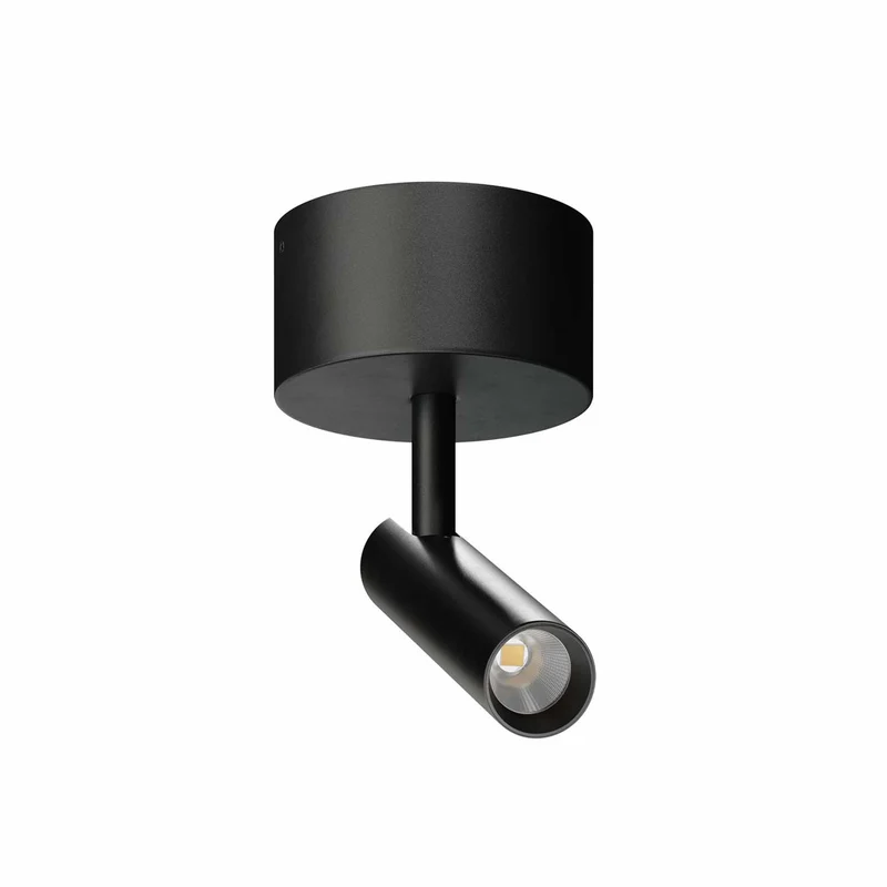 Beneito Faure Alp Adjustable and Rotatable Surface Spotlight